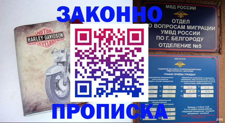 прописка для школы в Тарко-Сале